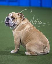 2025-6-29-BANDA-1444