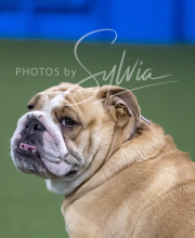 2025-6-29-BANDA-1445