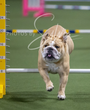 2025-6-29-BANDA-1446