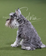 2025-6-29-BANDA-1454