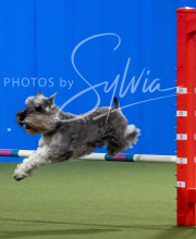 2025-6-29-BANDA-1460