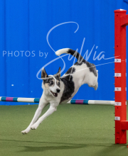 2025-6-29-BANDA-1468