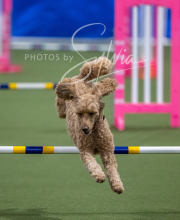 2025-6-29-BANDA-1471