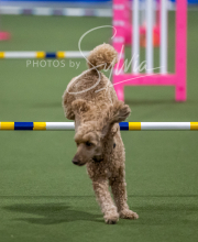 2025-6-29-BANDA-1472