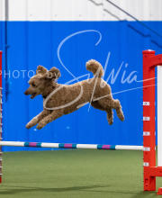 2025-6-29-BANDA-1474