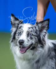 2025-6-29-BANDA-1483