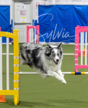 2025-6-29-BANDA-1490