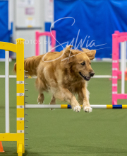 2025-6-29-BANDA-1494