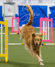 2025-6-29-BANDA-1496