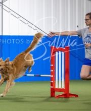 2025-6-29-BANDA-1499