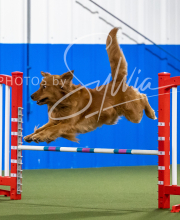 2025-6-29-BANDA-1504