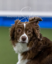 2025-6-29-BANDA-1510