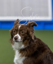 2025-6-29-BANDA-1513