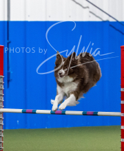 2025-6-29-BANDA-1518