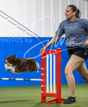 2025-6-29-BANDA-1520