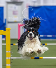 2025-6-29-BANDA-1526