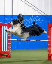 2025-6-29-BANDA-1528