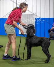 2025-6-29-BANDA-1529