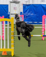 2025-6-29-BANDA-1531