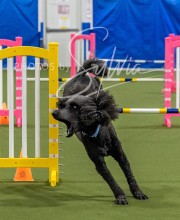 2025-6-29-BANDA-1533