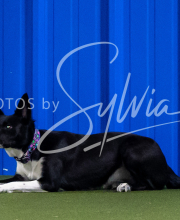 2025-8-3-CapCity-136