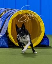 2025-8-3-CapCity-145