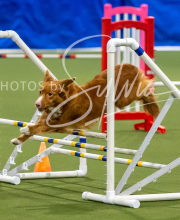 2025-8-3-CapCity-165