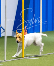 2025-8-3-CapCity-272