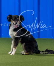 2025-8-3-CapCity-279