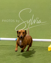 2025-8-3-CapCity-313