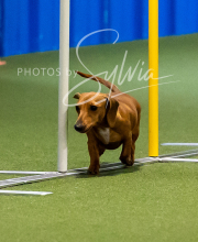 2025-8-3-CapCity-326