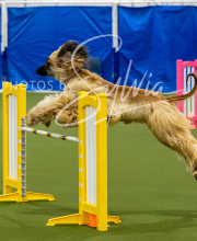 2025-8-3-CapCity-351