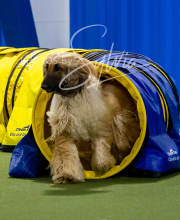 2025-8-3-CapCity-354