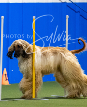 2025-8-3-CapCity-364