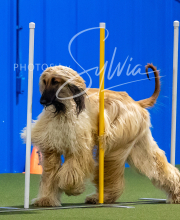 2025-8-3-CapCity-366