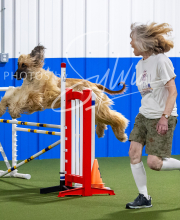 2025-8-3-CapCity-369