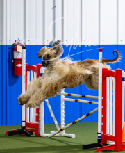 2025-8-3-CapCity-370