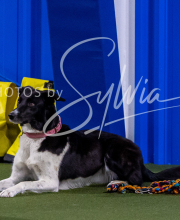 2025-8-3-CapCity-374