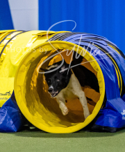 2025-8-3-CapCity-377