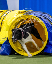 2025-8-3-CapCity-378