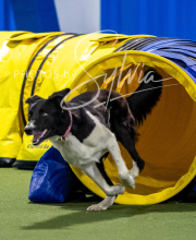 2025-8-3-CapCity-379