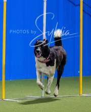 2025-8-3-CapCity-384