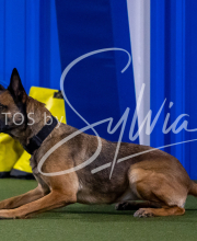 2025-8-3-CapCity-392