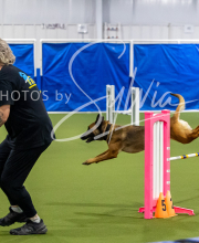 2025-8-3-CapCity-394