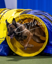 2025-8-3-CapCity-397