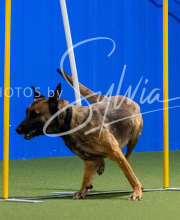 2025-8-3-CapCity-402