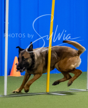 2025-8-3-CapCity-404