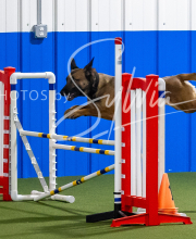 2025-8-3-CapCity-406