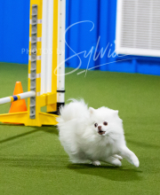 2025-7-11-July-Trial-101