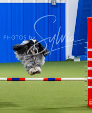 2025-7-11-July-Trial-51